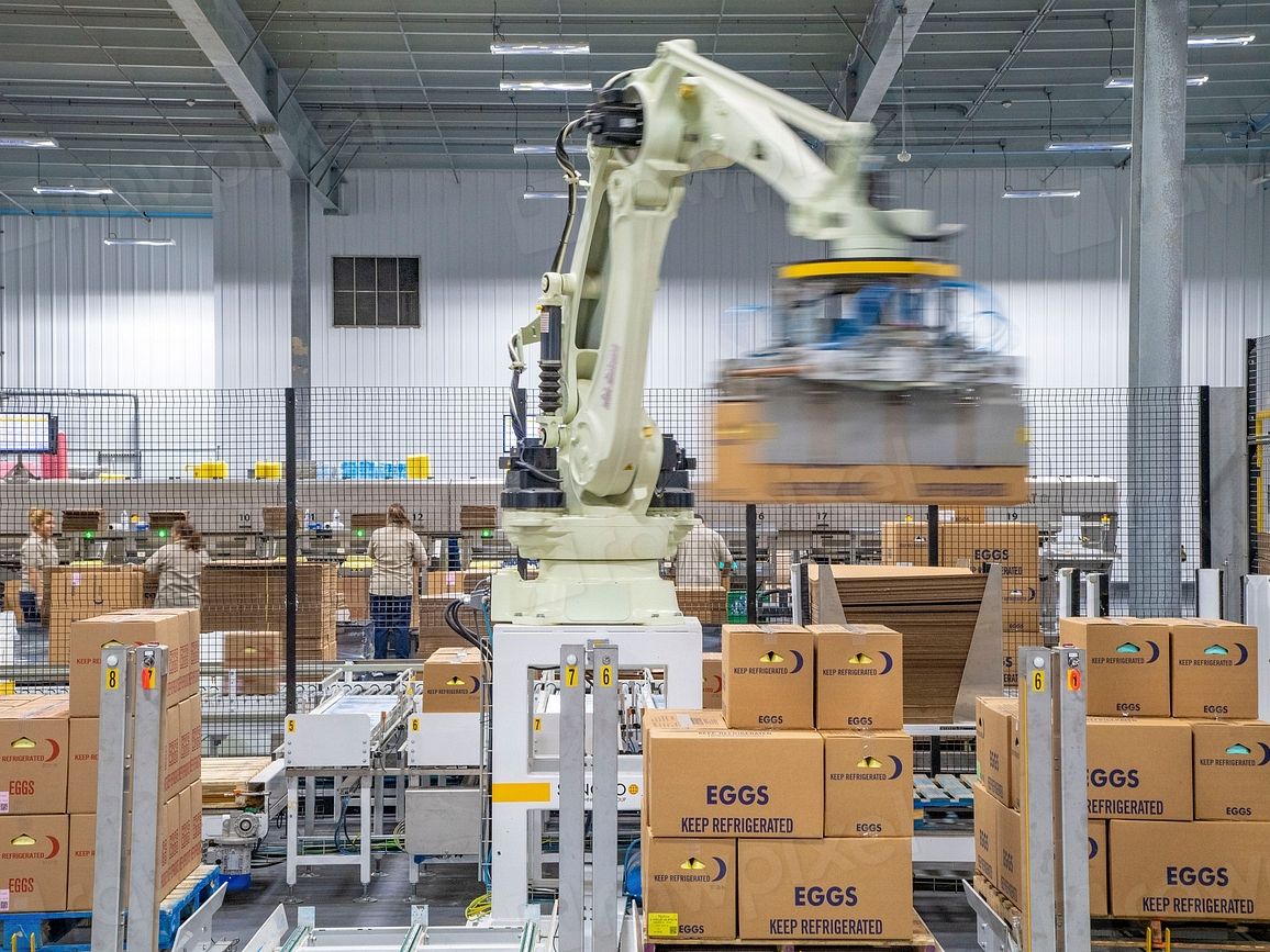 Cartons en fin de ligne de conditionnement, prêts à être palettisés.